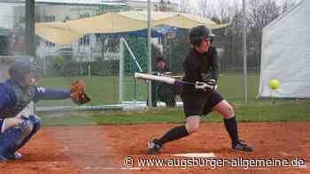 Baseballer des TSV Landsberg laden zu Benefizturnier ein