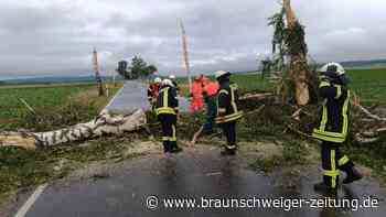 Tornado bei Baddeckenstedt – 25 Unwetter-Einsätze in Braunschweig