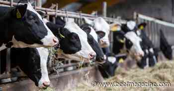 Farm Progress America, June 19, 2024