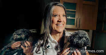 This Veterinarian Makes House — and Penthouse — Calls