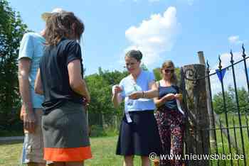 Liesbeth Verstreken (N-VA) wil er nog derde termijn bijdoen als burgemeester: “Je kan stenen verleggen met lokaal mandaat”