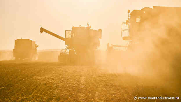 Vlotte tarweoogst in de VS blijft markt domineren