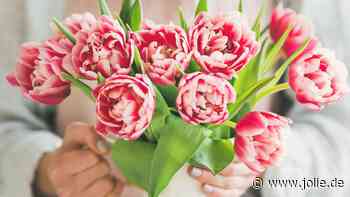 Die Sprache der Blumen − Was drücken die verschiedenen Blumen eigentlich aus?