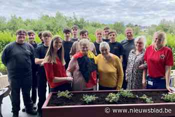 Leerlingen houtbewerking maken moestuinbakken voor senioren
