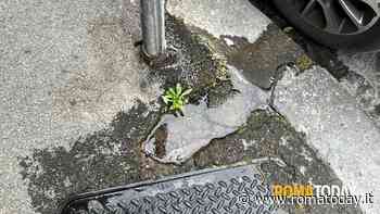 LETTORI - Perdita d'acqua angolo Via Gustavo Bianchi, via Amerigo Vespucci