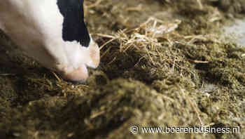 Bierbostel trekt aan op stuge ruwvoermarkt