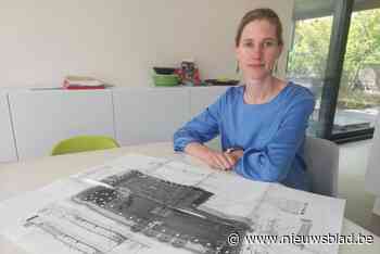 Supermarkt Lidl gaat in beroep tegen weigering vergunning: “Dit is als David versus Goliath”