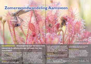 Zomeravondwandeling Aamsveen