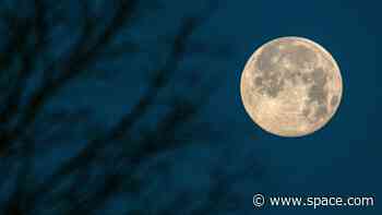 The 1st 'major lunar standstill' in more than 18 years is about to occur. Here's how to see it