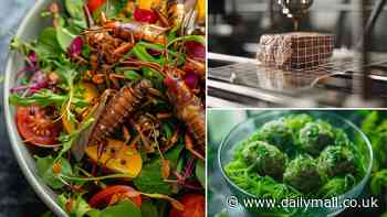 Would you like to see the menu... of the future? From cricket salad to 'water plant' spag bol, AI images reveal what meals could look like in 30 years as we're forced to eat 'sustainably' to help save the planet
