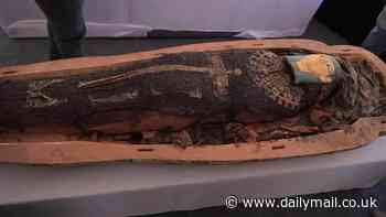 Archaeologists find depiction of 'Simpsons' character on 3,000-year-old Egyptian mummy coffin