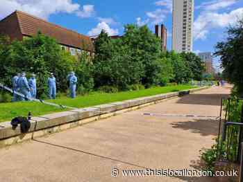 Carteret Way Deptford fatal stabbing: Police appeal for witnesses