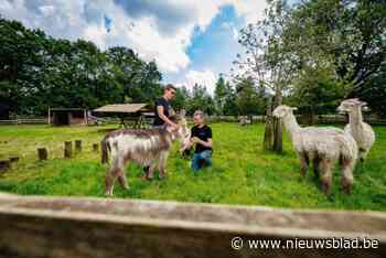 Kinderboerderij De Bollekeshoef pakt na halfjaar sluiting uit met metamorfose: “Bezoekers gaan zeker onder de indruk zijn”