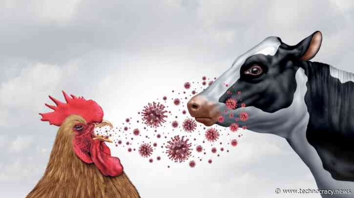 Bird Flu: The Evil Twins’ Next Assault Wave Against Humanity