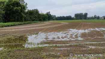 Hochwasser: Soforthilfe für Landwirte ab sofort möglich