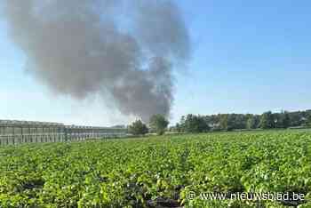 Stal in lichterlaaie: brandweer volop bezig met evacuatie van koeien