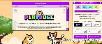 Top Trader sicher: "Altcoins sind überverkauft" - Diese Coins könnten jetzt explodieren