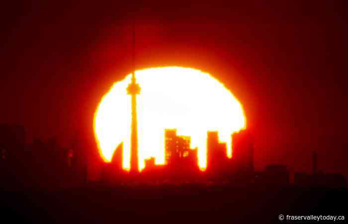 Extreme heat deaths higher among seniors and in cities with more renters, study says