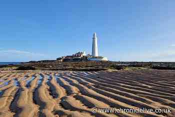 St Mary's Lighthouse and Island to be closed for the summer for 'refurbishment and redecoration'