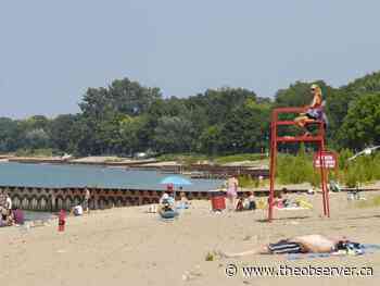 Sarnia man gets criminal conviction for racist 'outrageous' outburst at Canatara Beach