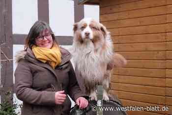 Neue Natur-Kita auf dem Hof Steckenpferd in Bünde geplant