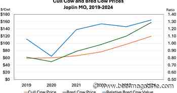 The relative value of bred cows