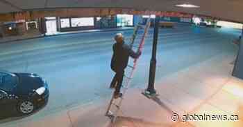 Several ‘Share the Love’ banners vandalized in Vanderhoof, B.C.