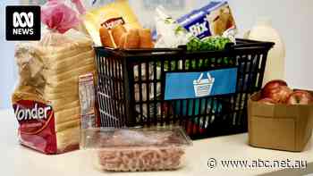 Aldi stores 25pc cheaper than Coles, Woolworths, Choice report finds