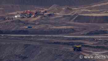 Coal mine contaminants blown onto snowpack in Alta., B.C.: study