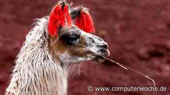 LlamaIndex angetestet