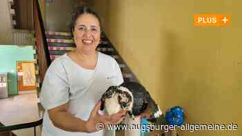 Diese Künstlerin ist Patin für 260 Grundschüler