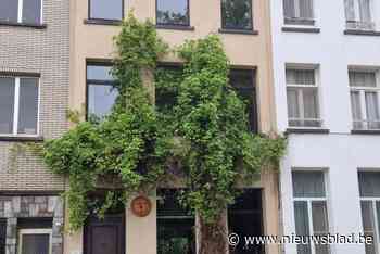 Duffel geeft 20 gezinnen groene gevels: “Ondersteunen en ontzorgen”