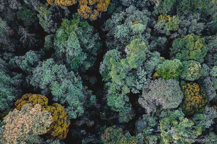 Umfrage: Verbraucher:innen begrüßen Mode aus nachhaltig bewirtschafteten Wäldern, Marken hinken hinterher