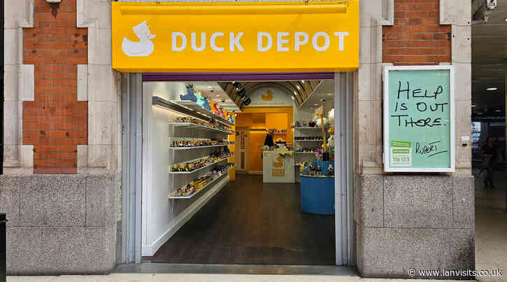Quacky Craze: London’s new chain of Rubber Duck shops