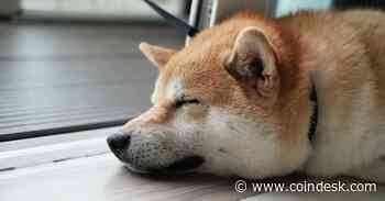 Dogecoin Traders Appear to Short Token as Meme Coin Frenzy Eases