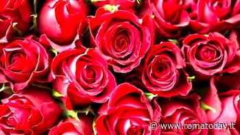 46a Sagra Delle Rose a Santa Lucia