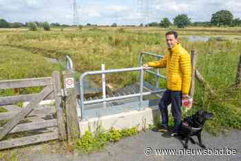 Overstromingsgebied in Aartselaar houdt woonwijk droog: “Geen vissen meer op mijn gazon”