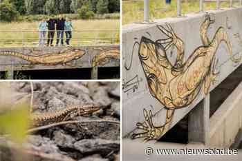 Mechelen legt nieuw familiepark aan om te chillen: “Net zoals de muurhagedis kan onze jeugd hier rustig hangen”