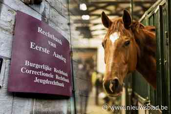 Man voor 1,5 miljoen euro opgelicht bij verkoop paardenfokkerij: “Oostenrijkse zakenman bleek lid van georganiseerde dievenbende”