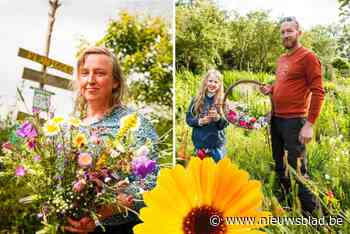 Doe-het-zelf-boeketjes: vier plekken om zelf je bloemen te plukken