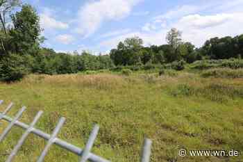 Vorstoß für Umzug des Schlaun-Gymnasiums ist gescheitert