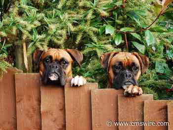 Sprinklr Digital Twin: The Latest Innovation in Customer Service Technology