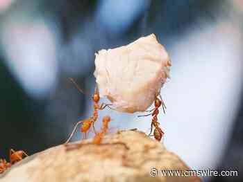 The Blueprint for Customer-Centricity: Aligning Teams With Vision