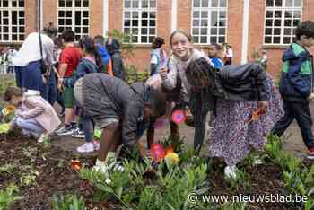 Speelkaartenmuseum beschikt over gloednieuwe groene long: “Open tuin maakt  verbinding met de buurt”