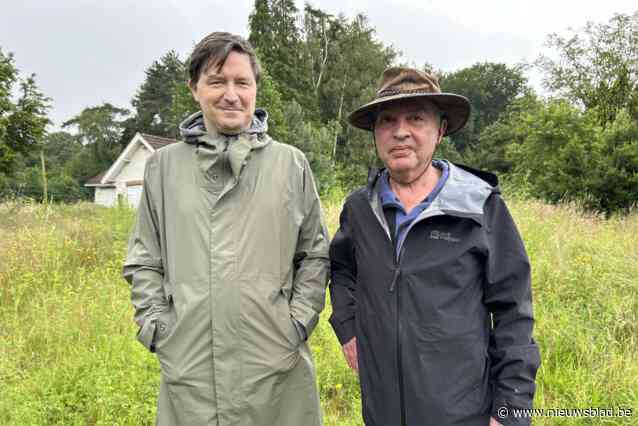 Actiegroep kant zich tegen nieuwe verkaveling in een van de ‘meest waardevolle bossen in Vlaanderen’: “Provincie negeert advies van eigen ambtenaar”