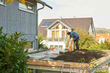 Klimaschutz: Finanzspritze kommt kaum an