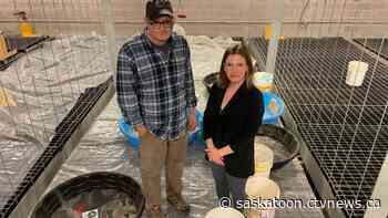 Leaky roof causes Saskatoon theatre to close for the summer