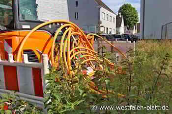 Warum der Glasfaserausbau in Steinheim stockt