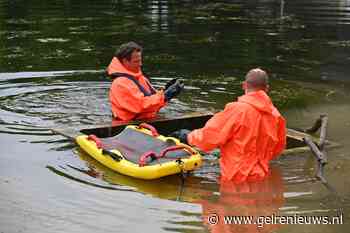 Kuikens verdronken in put, moedereend gered