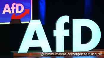 Kartelle, Kinder und Massen-Abschiebung: Die kruden Ideen von AfD-nahen Unternehmern